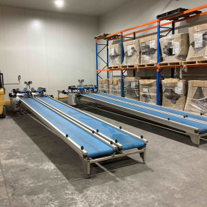 GP Graders Double Carton Packing Line 1