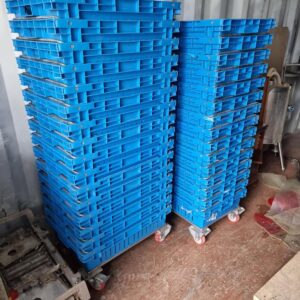 Trays & Trolleys
