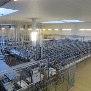 Complete Cheese Production Line (Euroblock)