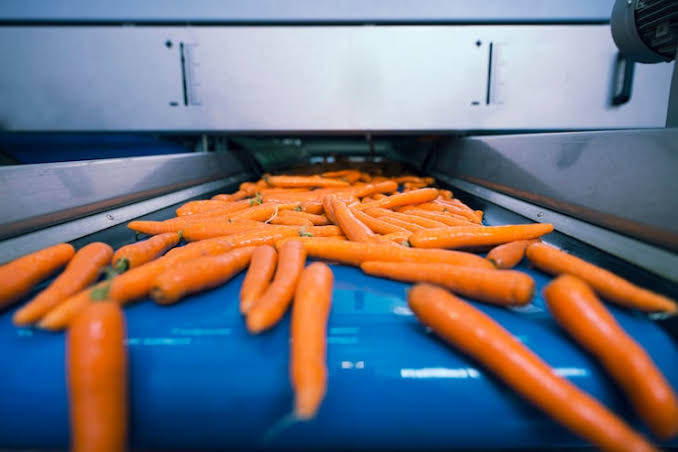 Produce Packaging Machinery NZ: A Buying Guide for Fresh Produce Processors